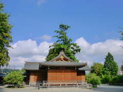 初夏の神楽殿の様子