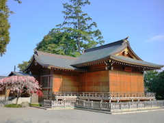 春の神楽殿北の様子